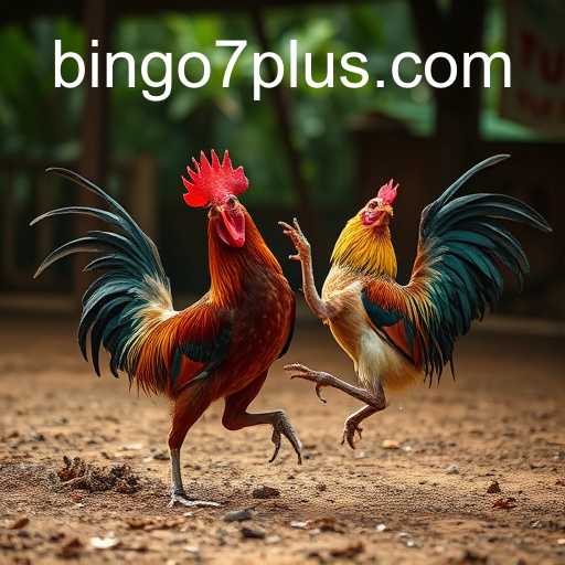 Bingo7